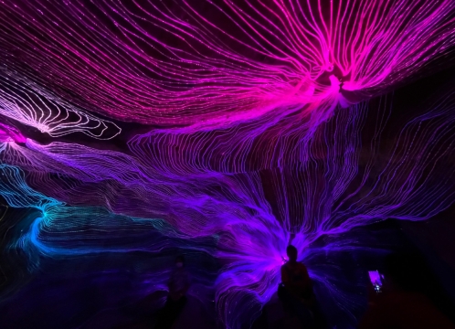 イルミネーション